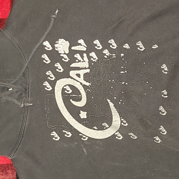 Vintage. California University Bears. Hooded Sweatshirt.  Men's size XL - Picture 4 of 12